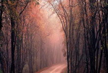 世界杯竞猜-传诵经典,咏赞未来:北园路小学经典诵读比赛圆满落幕!