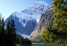 世界杯下注-2025乒乓球器材值得推荐品牌指南(nán)