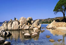 世界杯下注-全运会｜乒乓球单打八(bā)强出炉 王(wáng)楚钦险胜过关